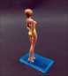 Preview: 1:18 Sommer Girl Lisa [Limited] = RAR