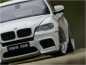 Preview: 1:18 BMW X6M E71M 2009 alpinweiß - Voll Aluminium Felgen = inkl. OVP