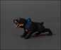 Preview: 1:18 ROTTWEILER Hund Bellen